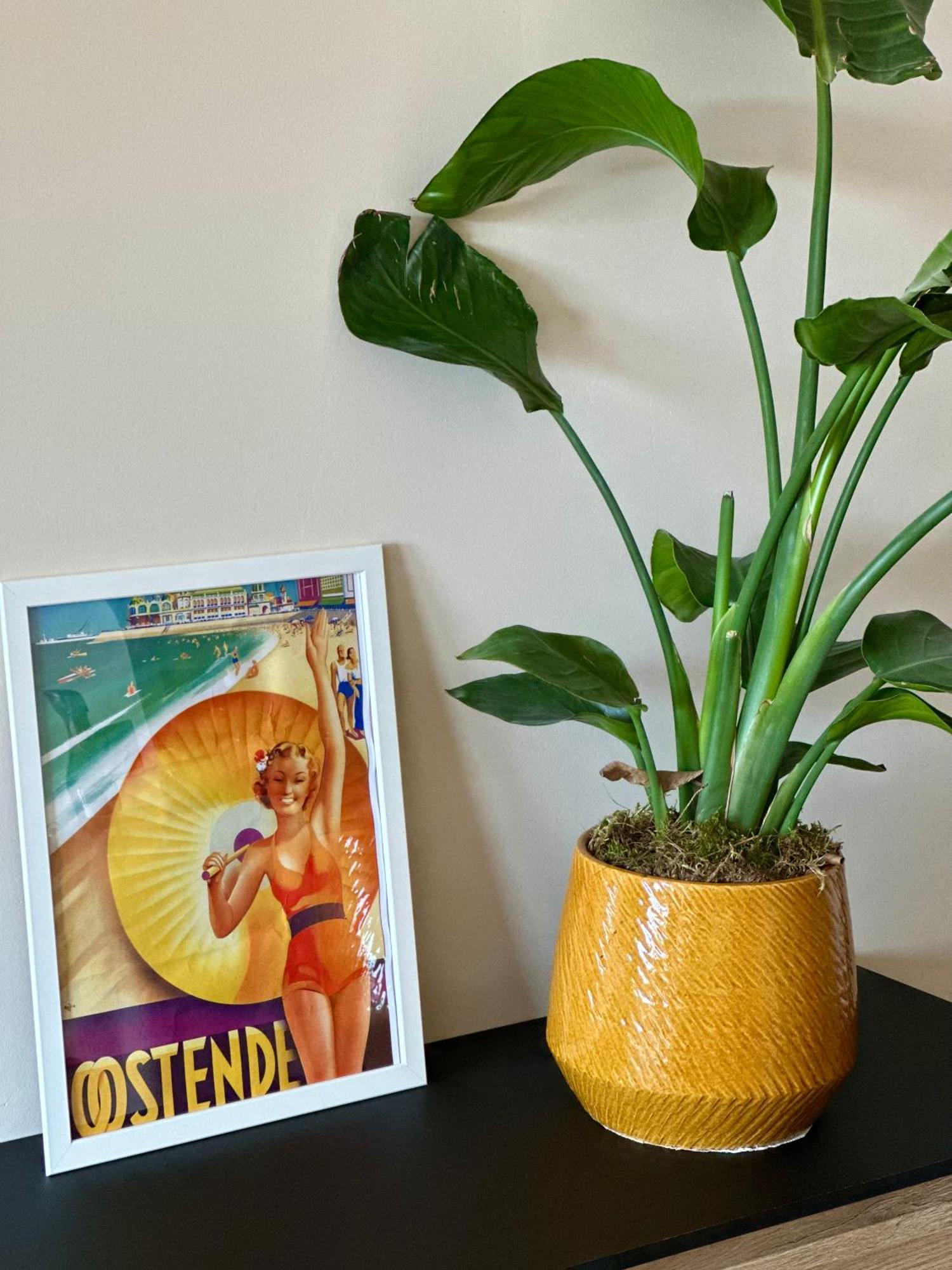 Studio By Aimee - 20M From The Beach & In City Centre! Ostende Extérieur photo